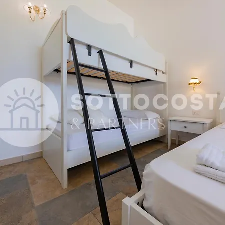 Viola * 切萨雷奥港