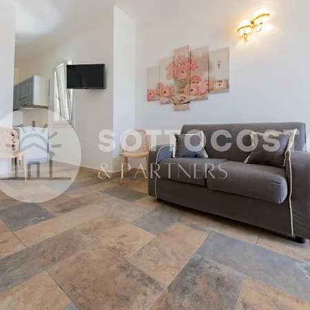 Viola * بورتو سيساريو