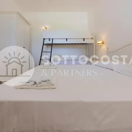 Viola بورتو سيساريو